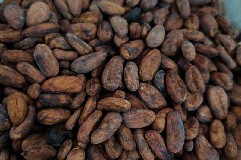 Cancún: Chocolate Making Class and Tasting with Chef - Meeting the cocoa before making chocolate