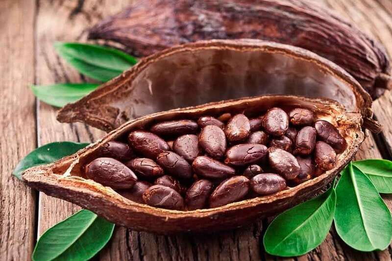 Cancún: Chocolate Making Class and Tasting with Chef - Price, transport, and what you receive