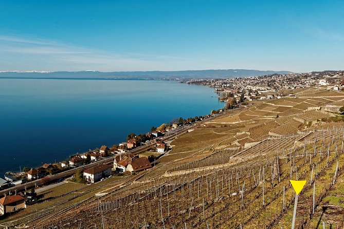 Cheese, Chocolate and Wine in the Bern Region from Luzern - Gruyère cheese begins the tasting trail