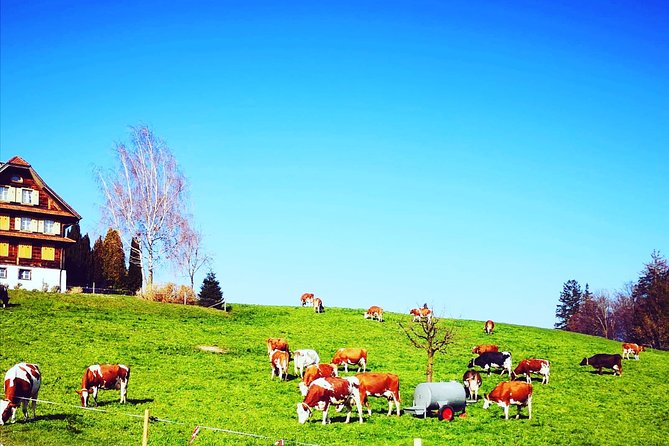 Cheese, Chocolate and Wine in the Bern Region from Luzern - How to handle the long day well