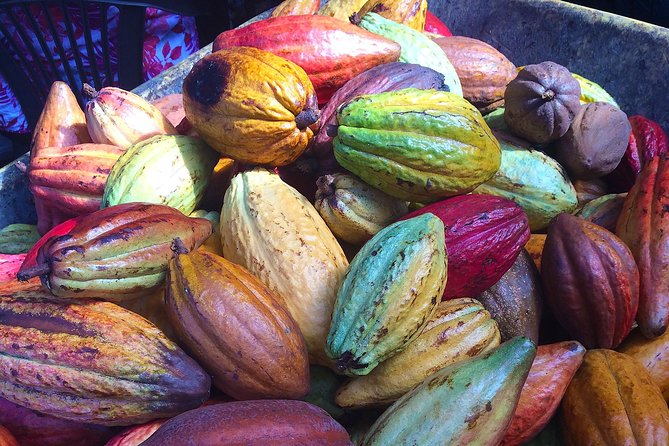Chocolate and Cobblestones Tour with Taste of San Miguel - Key points at a glance