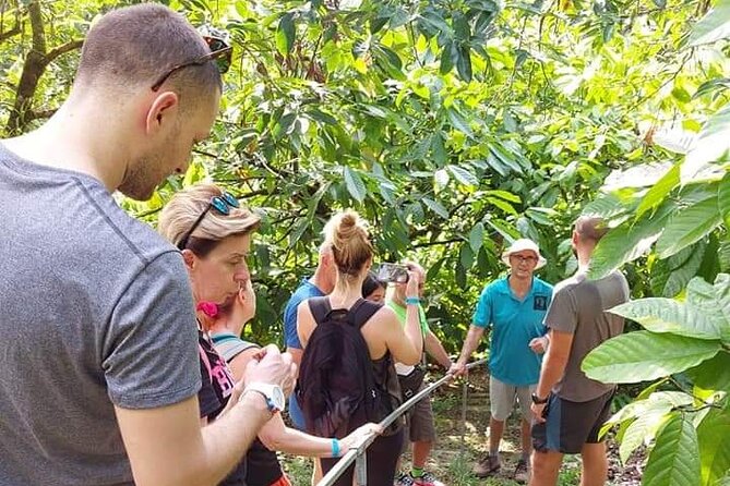 Chocolate and Coffee Tour Farm Don Jorge - Key points to know before you book