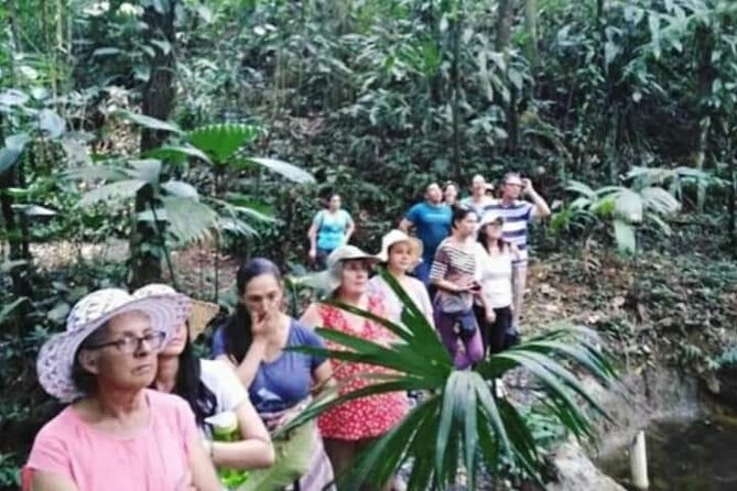 Chocolate and Coffee Tour Farm Don Jorge - Starting with cacao, coffee, and tropical plants