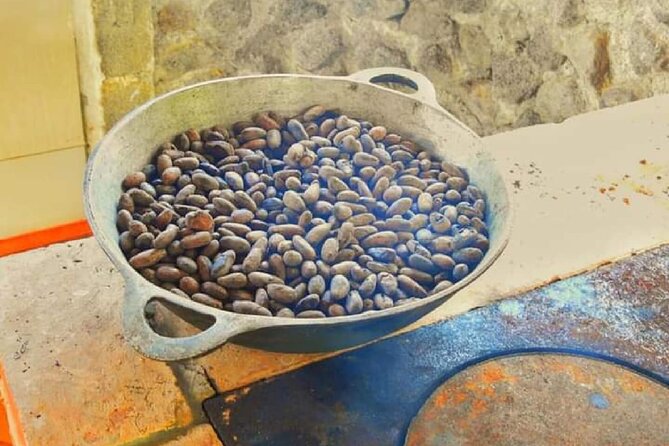 Chocolate and Farm Tour with local Tico family - What the $45 price gets you