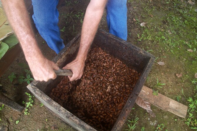 Chocolate and Farm Tour with local Tico family - Preparing an ancient-style cacao drink