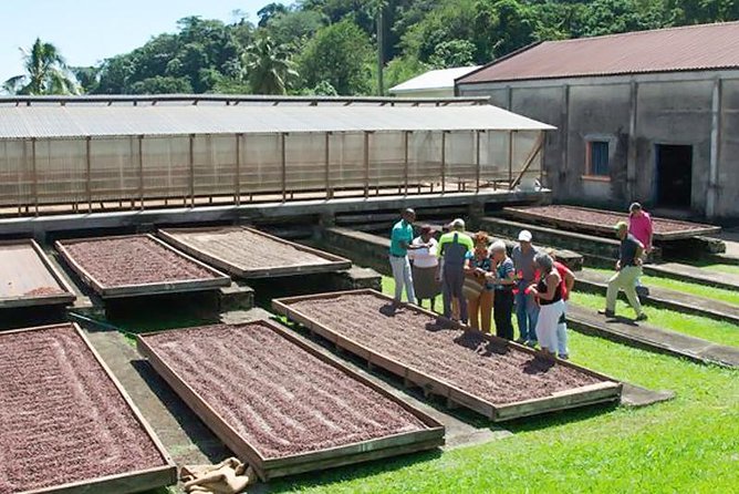 Chocolate Factory Belmont Estate, Annandale Falls & Grand Etang Lake Tour - Key points to know before you book