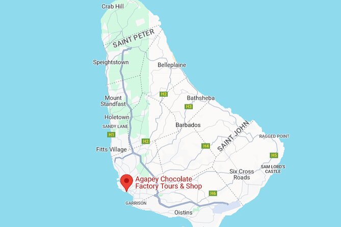 Chocolate Factory Tour in Barbados - Food safety and dietary considerations