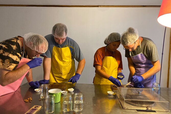 Chocolate Making and Tasting at a Local Factory in San José - The fresh cacao tasting is the unusual highlight