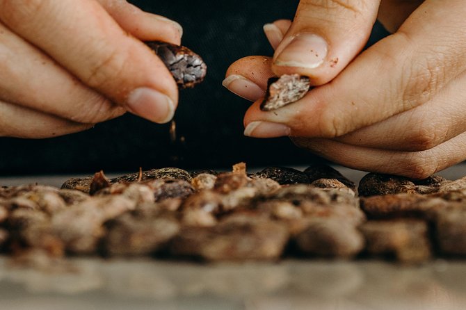 Chocolate Master Class & Taino concept Store - From cocoa story to first tasting