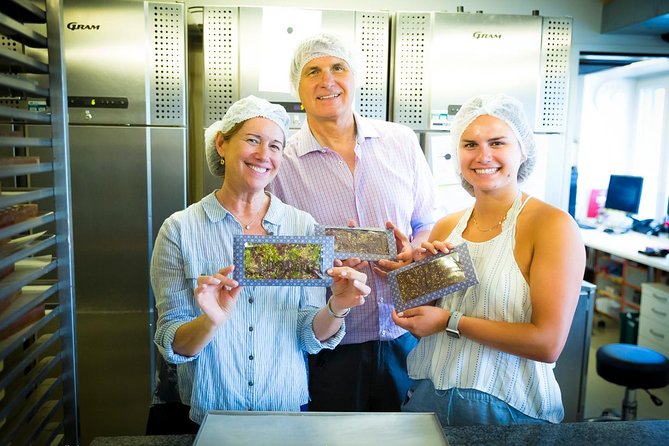 Chocolate Tasting with Lake Trip and City Tour: The Ultimate Lucerne Experience - Is $405.26 a fair price?
