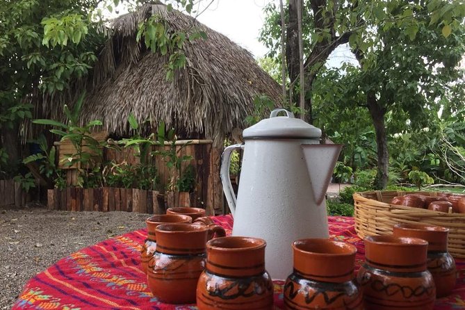 Chocolate Tour in Vallarta - The hands-on chocolate workshop