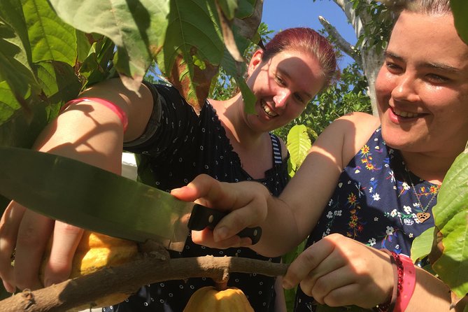 Chocolate Tour in Vallarta - A small rural site, not a polished attraction