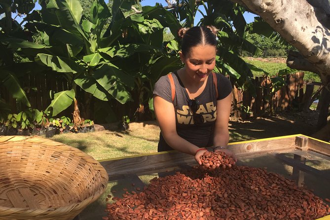Chocolate Tour in Vallarta - Who will enjoy this experience most