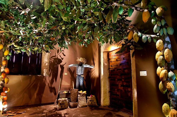 Chocolate Tour - KahKow Experience - Is $21 a fair price for a 25-minute visit?