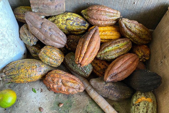 Chocolate tour near Medellin - From Medellín to the hills north of the city