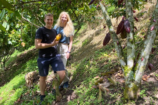 Chocolate tour near Medellin - Picking the cacao pod and tasting the fresh pulp