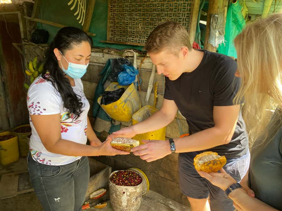 Chocolate tour near the Medellín - Walking through three types of cacao trees