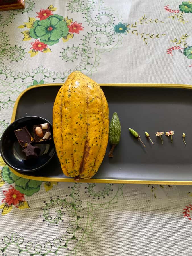 Chocolate tour near the Medellín - What the six-hour schedule feels like