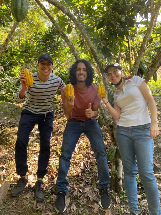 Chocolate tour near the Medellín - Is $126 a fair price?
