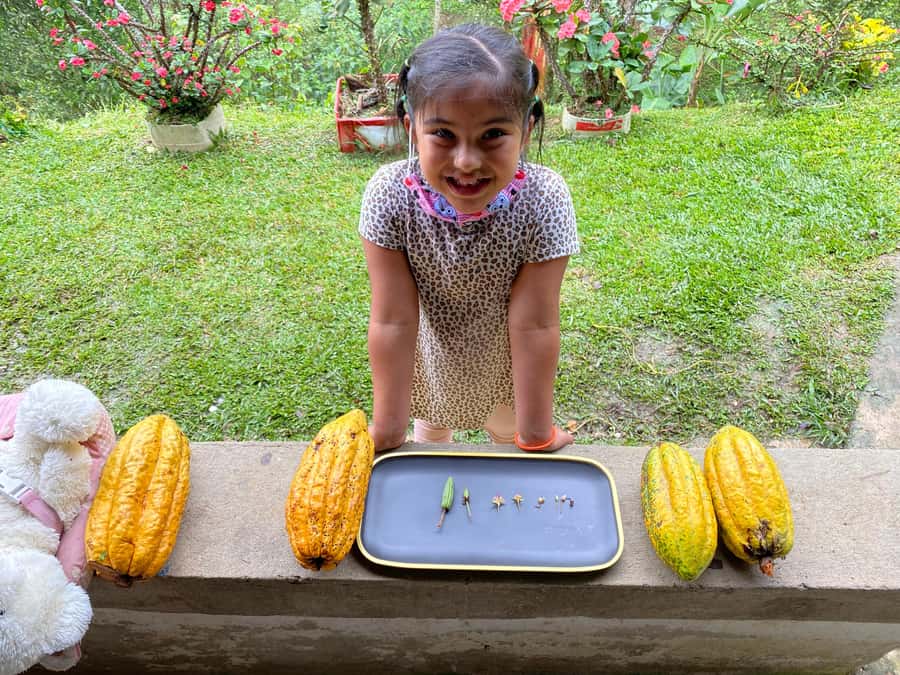 Chocolate tour near the Medellín - Who will enjoy this farm visit most