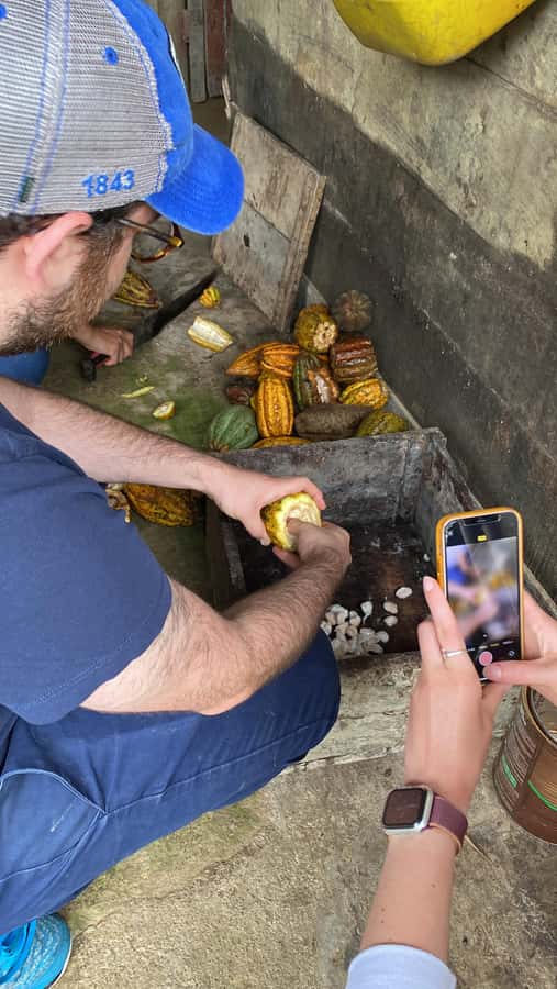 Chocolate tour near the Medellín - Meeting the family behind the cocoa