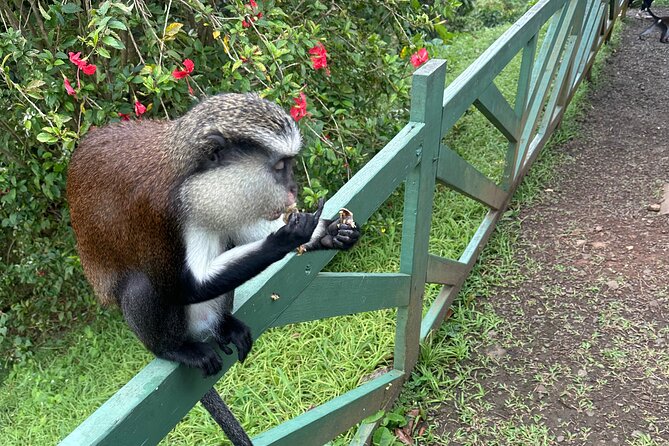 Chocolate, Waterfall, spices and Nature tours! - Key points at a glance
