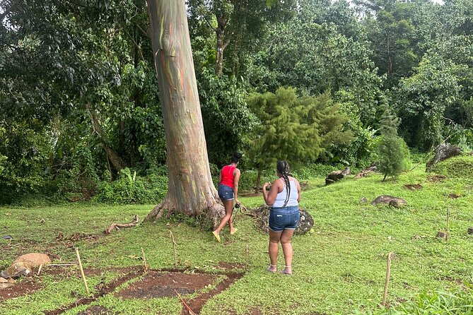 Chocolate, Waterfall, spices and Nature tours! - Flexibility, timing, and the guide