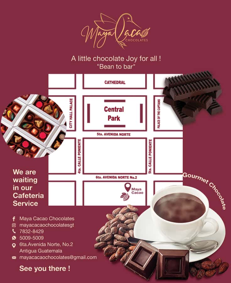 Chocolate workshop; gastronomic experience of cocoa. - Practical planning before you go