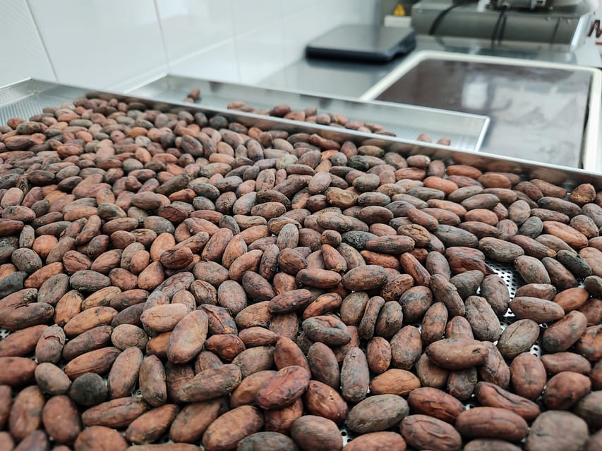Chocolatier for a day: raw bean to bar chocolate in Modica - Key points at a glance