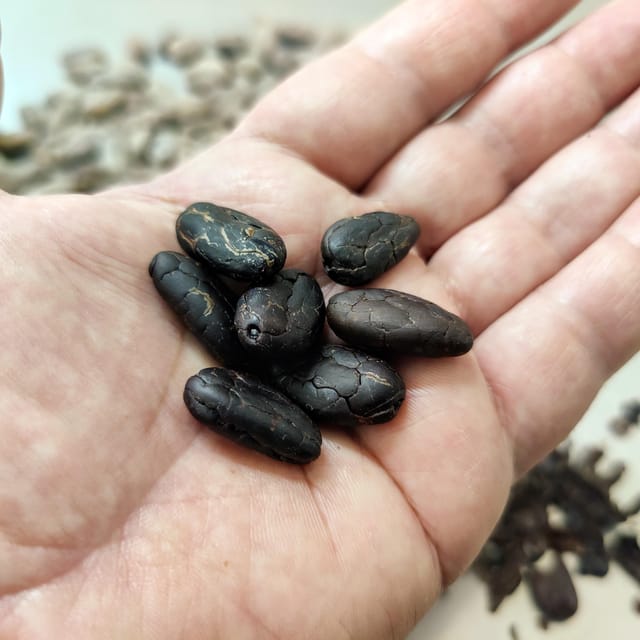 Chocolatier for a day: raw bean to bar chocolate in Modica - Meeting Giuseppe and Vincenzo in the laboratory