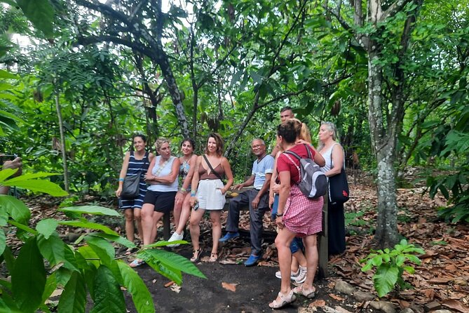 Cocoa & Artisan Chocolate Route with an Historical Tour in Puerto Plata City - Seeing cacao at Hacienda Cufa