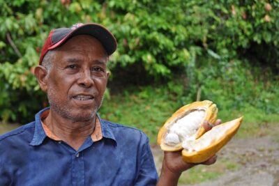 Cocoa & Artisan Chocolate Route with an Historical Tour in Puerto Plata City