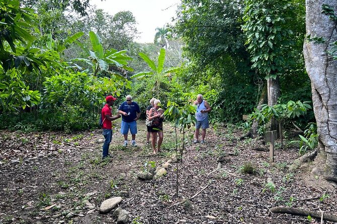 Cocoa & Artisan Chocolate Route with an Historical Tour in Puerto Plata City - What the guide can add to the day