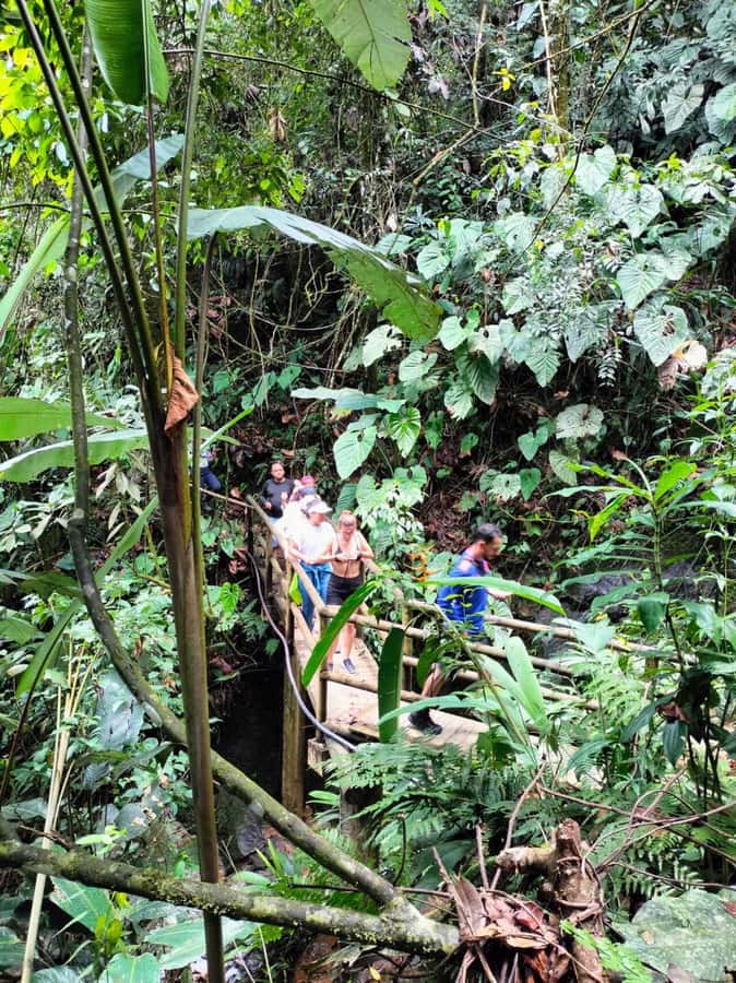 Cocoa Tour - San Rafael Antioquia from Medellín - Practical packing advice for the farm