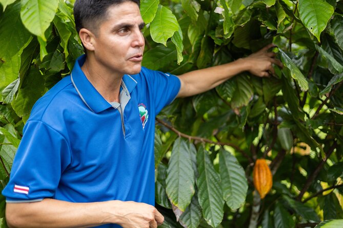 Coffee & Chocolate Tour+Sloths Park & Llanos de Cortez Waterfall - A long Costa Rican day that earns its early start
