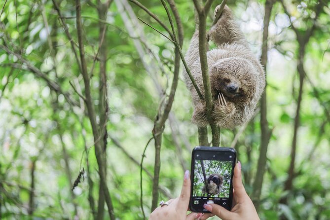 Coffee & Chocolate Tour+Sloths Park & Llanos de Cortez Waterfall - Coffee and cacao, from plant to cup