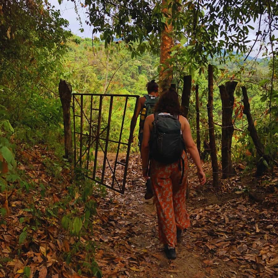 Coffee, Cocoa and Trekking Tour in Minca: Nature, Crops and Production - Walking toward Puente de Minca