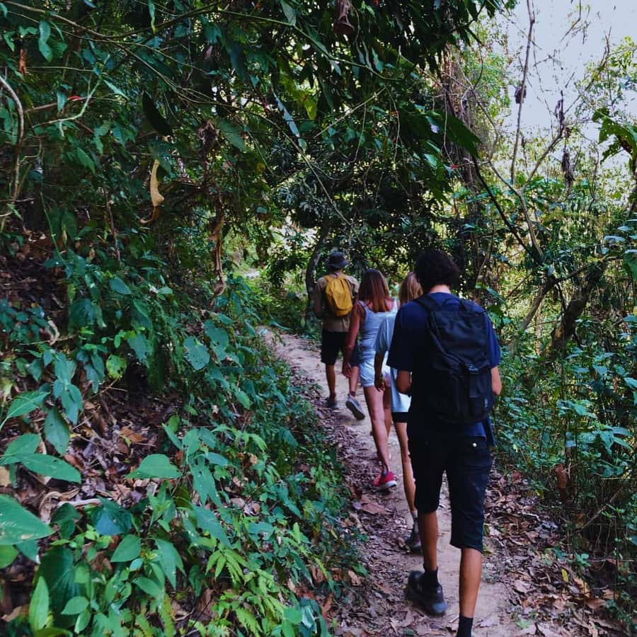 Coffee, Cocoa and Trekking Tour in Minca: Nature, Crops and Production - Finca San Rafael and the coffee-to-cup process