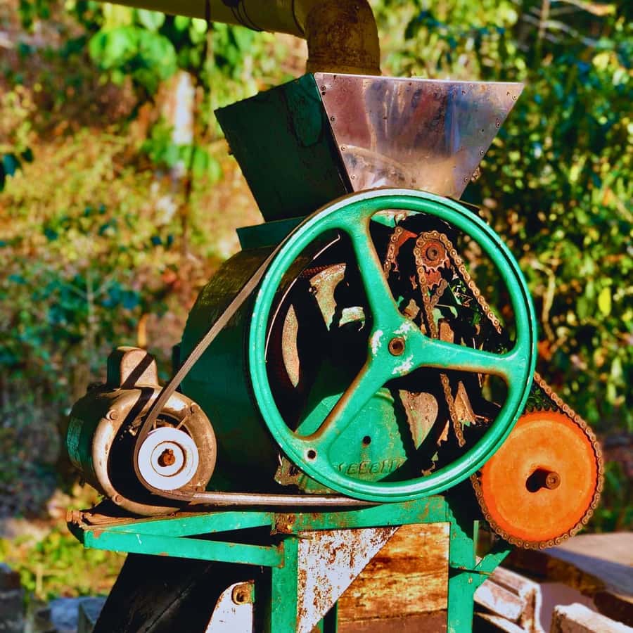 Coffee, Cocoa and Trekking Tour in Minca: Nature, Crops and Production - What $41 buys you