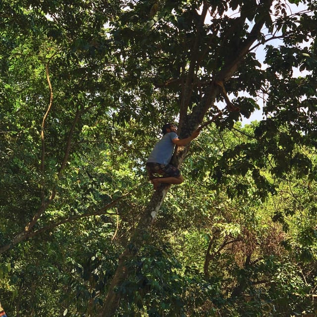 Coffee, Cocoa and Trekking Tour in Minca: Nature, Crops and Production - Guides, pace, and the personal side