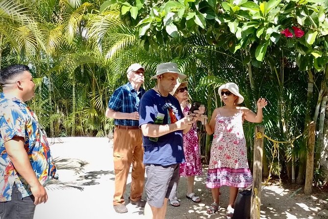 Cozumel: Hands-On Chocolate, Tortilla, Salsa & Honey Experience - A Private Drive Around Cozumel, If Time Allows