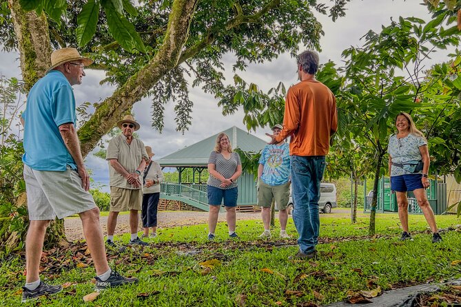 Craft Chocolate Tasting and Farm Experience on the Big Island - What the views and setting add