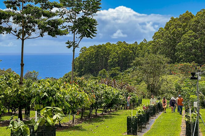 Craft Chocolate Tasting and Farm Experience on the Big Island - Reaching Honolii Orchards from Hilo