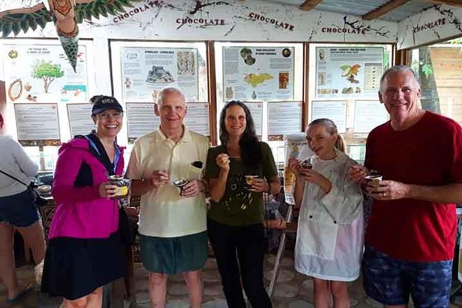 Cruise Ship Family Chocolate Factory, Sloths & Monkeys, Beach, Transportation - Key points at a glance