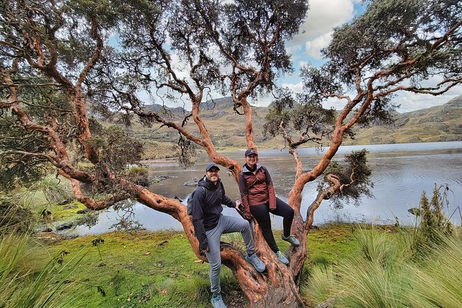 Cuenca to Guayaquil one-way tour with Cajas Park and a Cacao Farm visit - Laguna La Toreadora and the Cajas highlands