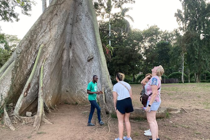 Day Trip Near Accra - Visit Aburi Gardens, Waterfall & Cocoa Farm - Key Points