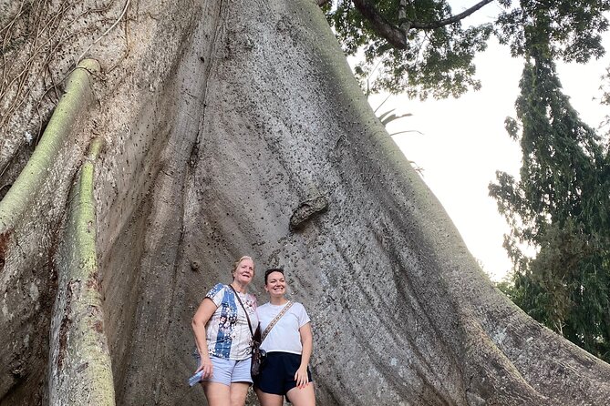 Day Trip Near Accra - Visit Aburi Gardens, Waterfall & Cocoa Farm - Oboadaka Falls: The Most Active Stop