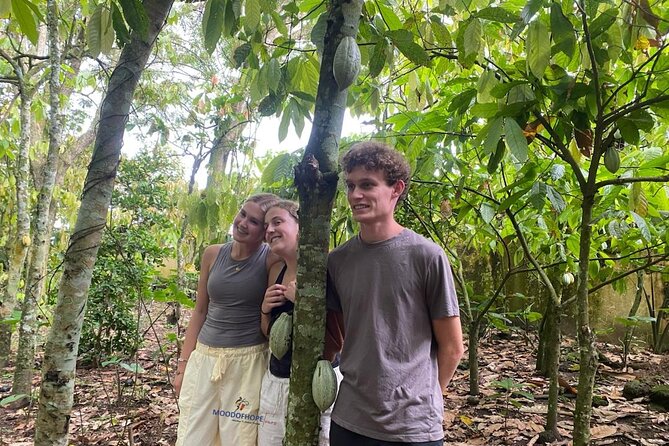 Day Trip Near Accra - Visit Aburi Gardens, Waterfall & Cocoa Farm - Aburi Craft Village and the Value of Local Purchases
