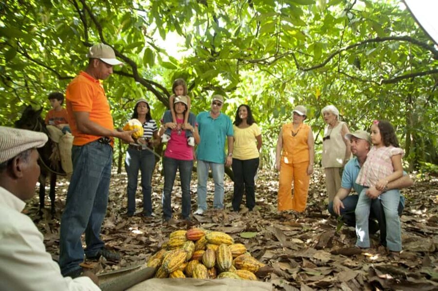 Dominican Republic: 3-Hour Chocolate Lovers Tour - Starting at El Sendero del Cacao