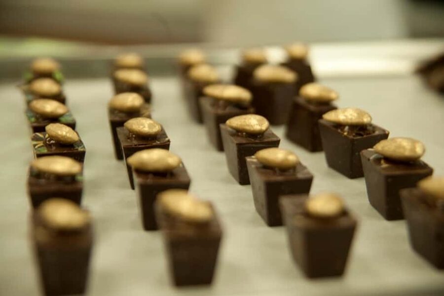 Dominican Republic: 3-Hour Chocolate Lovers Tour - Planting cacao before tasting chocolate